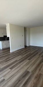 Newly Renovated 2nd Floor Apartment White Rock - Photo 3