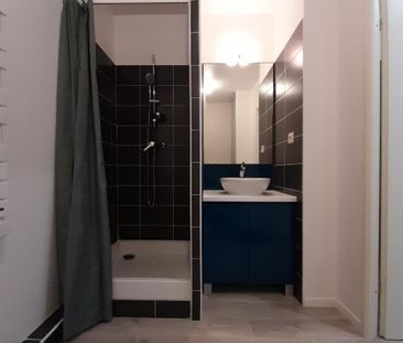 Location Appartement 1 pièce 20m² CALUIRE ET CUIRE 69300 - Photo 3