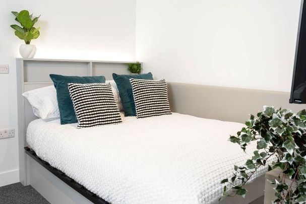 Studio to rent - Photo 1