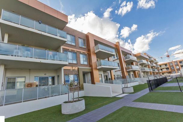 110/148 Flemington Road, Harrison ACT 2914 - Apartment For Rent | Domain - Photo 1