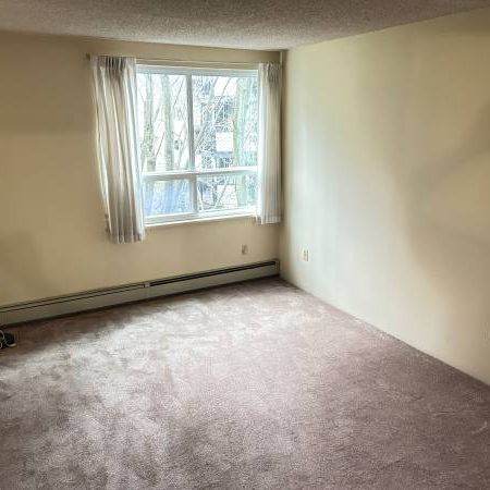 Furnished Large 1 bedroom Condo for rent! Utilities included! - Photo 1