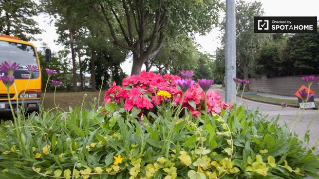 1-bedroom apartment for rent in Clondalkin, Dublin - Photo 1