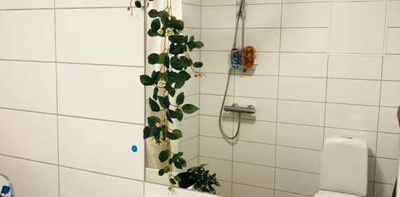 Femstenavägen, Bro - Photo 2