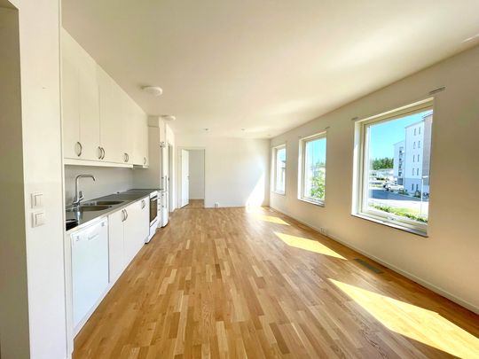 Sidenvägen 3 - Foto 1