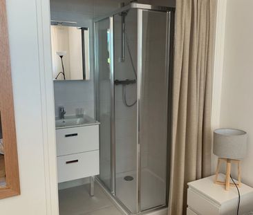 Location Appartement 1 pièce 16m² ANNECY 74000 - Photo 3