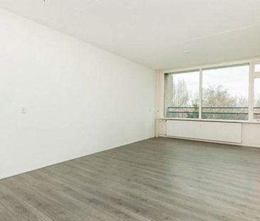 Cruquiuslaan 0ong, 2332 Leiden, Nederland - Photo 4