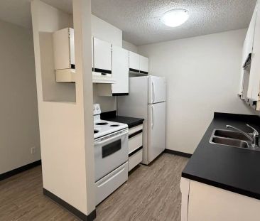 Castleview — Classic 2 Bed 1 Bath - Spacious - HEAT & WATER INCLUDE... - Photo 4