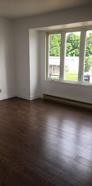 Cuisine 100% renovée, 4 1/2 disponible dès maintenant ! - Photo 1