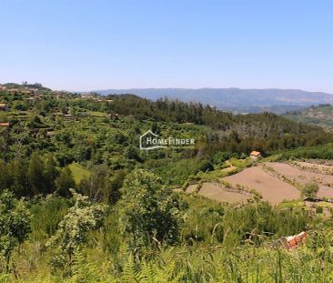 House T2 in Ventosa, Vouzela - Photo 4