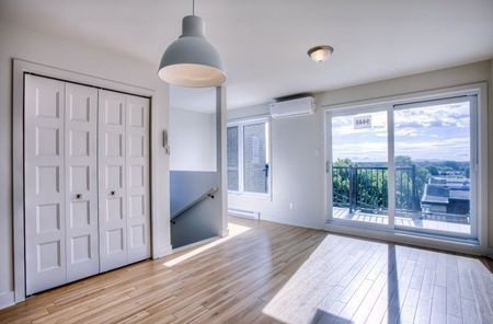 Rue Sherbrooke E., H1L 1E6, Montréal - Photo 2