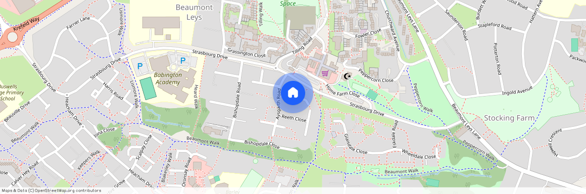 Newbiggin Place, Leicester