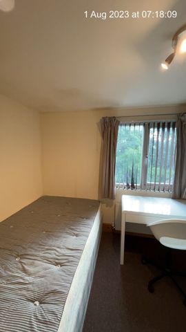 239 Heeley Road - Photo 5