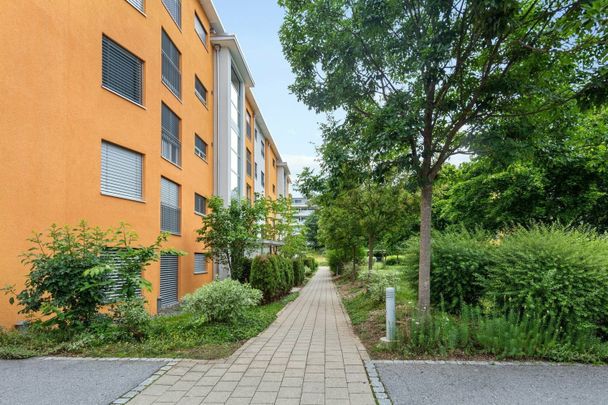 "Sonnige Aussichten für Sie!" - Foto 1