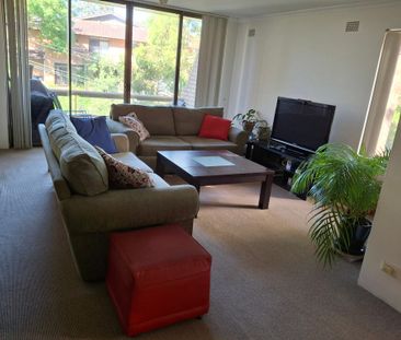 Neutral Bay - Photo 3
