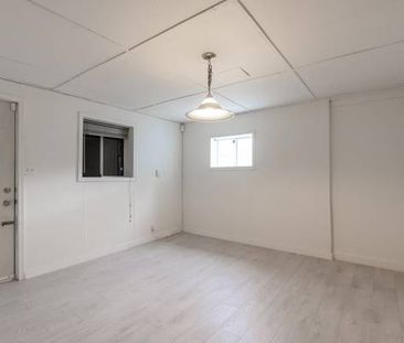 spacious 1 bedroom basement suite - Photo 2