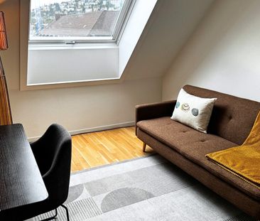 LA VIE URBAINE AU-DESSUS DES TOITS DE ZURICH-OUEST - Foto 1