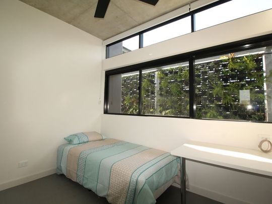 STUDIO/12-14 Belmore Road, Randwick NSW 2031 - Studio For Rent | Domain - Photo 1