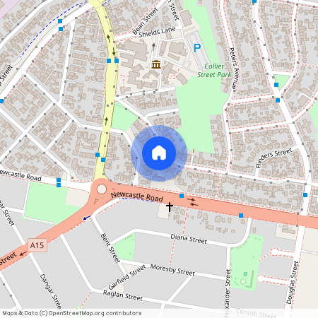 17 Abbott Street, NSW 2287, Wallsend