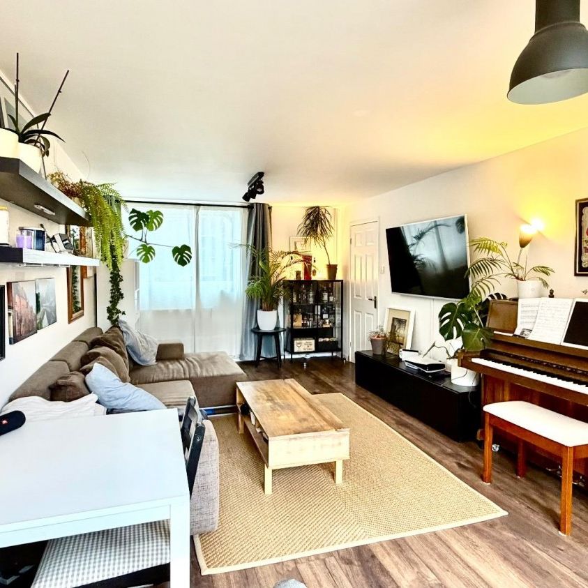 3 bedroom House To Let - Photo 1