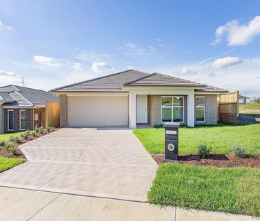 11 Dogwood Street, Gillieston Heights NSW 2321 - House For Rent | D... - Photo 5