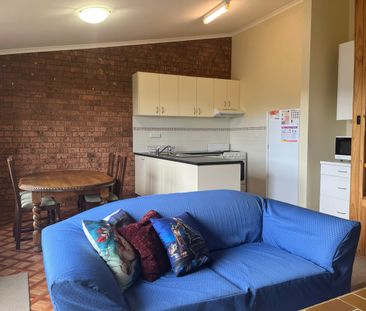 52 week lease available - Photo 1