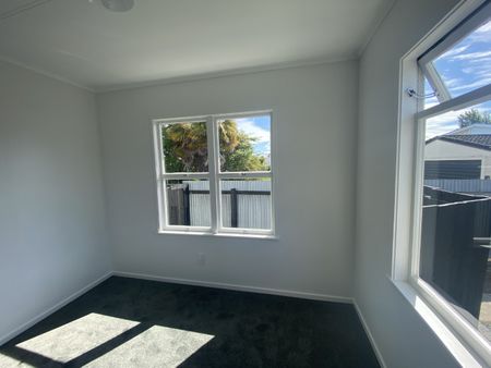 Newly Renovated with Sunny outlook - Photo 5