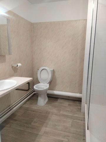 Appartement T2 Muret à louer - Photo 4