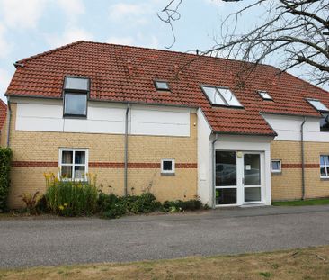 Skodborg Nørregade, 4 A, st.th., Rødding, 6630 - Photo 1