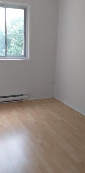 POINTE AUX TREMBRES 4 1/2 LIBRE 1ER JANVIER 2026 - Photo 1