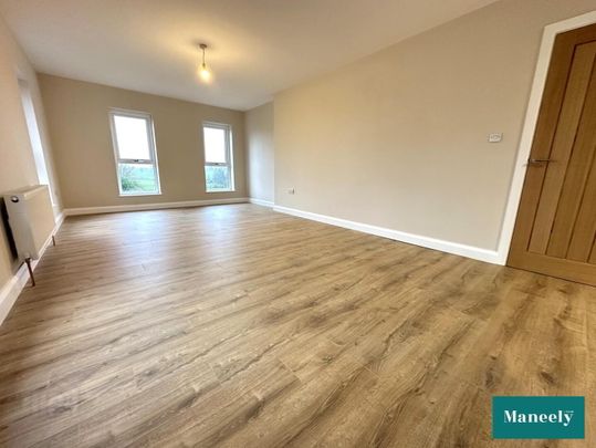 23b Killyman Street - Photo 1