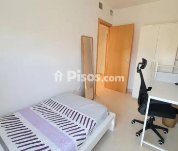 Piso en alquiler en San Miguel - Photo 4