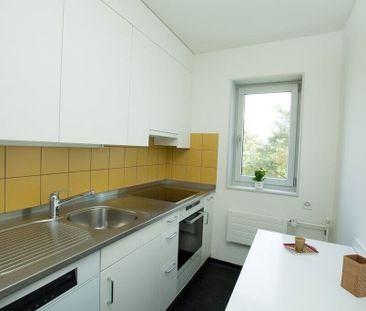 central et pourtant à la campagne - votre nouvelle maison - Photo 5