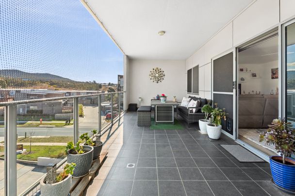 50/40 Philip Hodgins Street, Wright ACT 2611 - Apartment For Rent | Domain - Photo 1