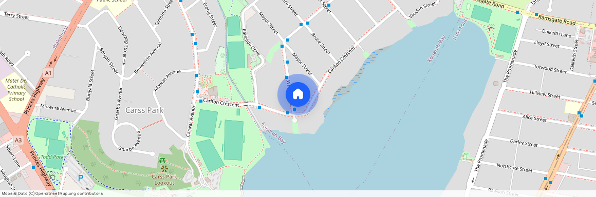 24 Wharf Road, NSW 2217, Kogarah Bay