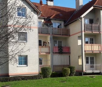 Loosdorf, 3 Zimmer, 76 m² / 00393 00101 - Photo 1