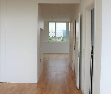 2 Zimmer, 115 m², 5. Stock - Foto 2