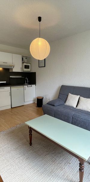 Location Appartement 1 pièce 20m² TOURS 37000 - Photo 1