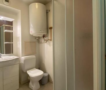 Location Appartement 1 pièce Meublé 17m² LE BOURGET DU LAC 73370 - Photo 2