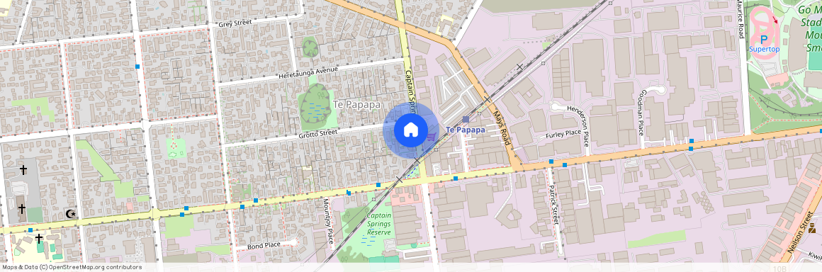 166 Captain Springs Road, Onehunga, Auckland City