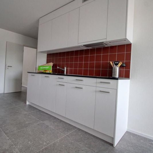 James #2 - Spacious Coliving Apartment in Crissier - Photo 1