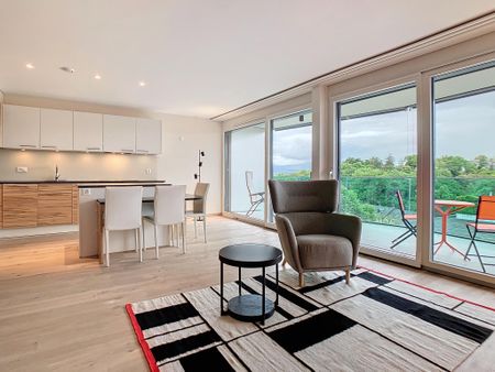 Superbe studio meublé et équipé avec terrasse vue lac et Alpes - Photo 3