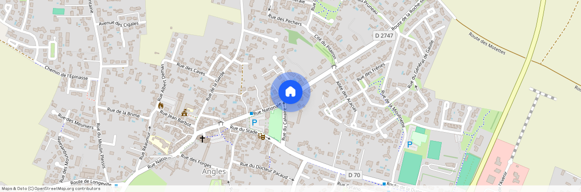 PAYS-DE-LA-LOIRE, VENDEE (85), 85750, Angles