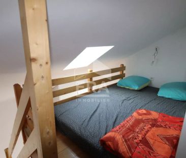 Maison meublée Saint Jean De La Ruelle 3 pièce(s) 67 m2 carrez 86m²... - Photo 1