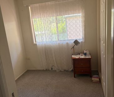 Springfield - Photo 4