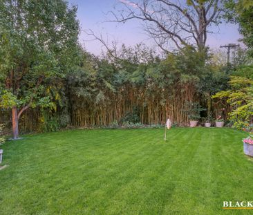 14 Gawler Crescent, Deakin ACT 2600 - House For Rent | Domain - Photo 4