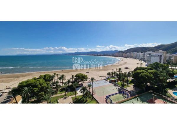 Cullera
