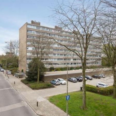 Zangvogelweg 0ong 3815 Amersfoort - Foto 3