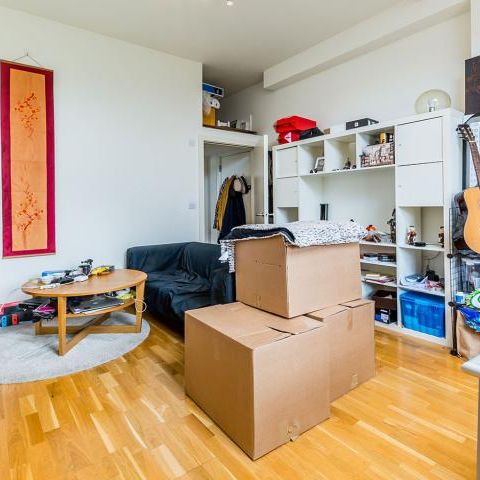 Spacious modern one bed with access to a communal garden - Photo 1