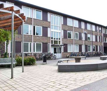 Flamman, Västanågatan 20.317 - Photo 2