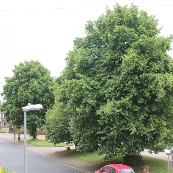 Belvedere Road, Taunton - Photo 1
